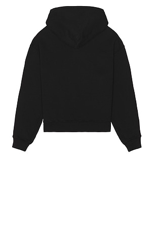 AGOLDE x RSVP Gallery Easton Hoodie in Black & Mint in Black