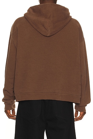 AGOLDE Salford Hoodie in Brown. Size S. Also