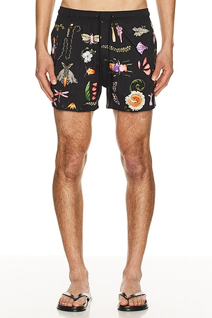 Cassius Swim Trunks Agua Bendita