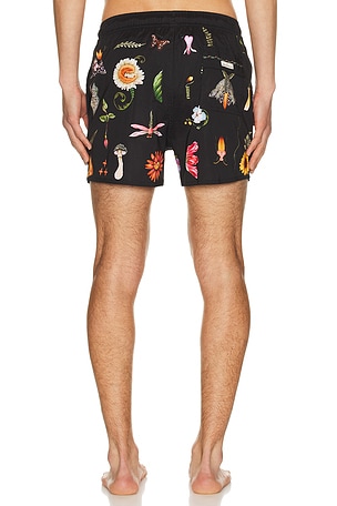 Agua Bendita Cassius Swim Trunks in Black