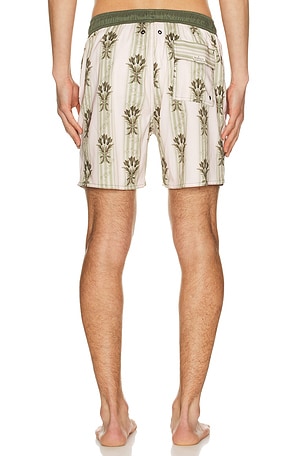 Agua Bendita Joe Swim Trunks in White,Green