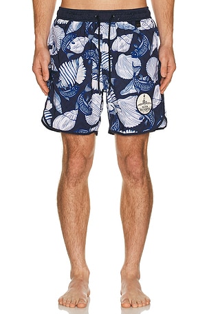 Liam Trunks Agua Bendita