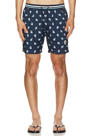 Joe Trunks Agua Bendita