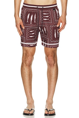 Joe Trunks Agua Bendita