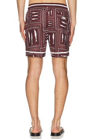 Agua Bendita Joe Trunks in Brown
