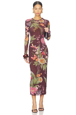 Robin Dress Agua Bendita