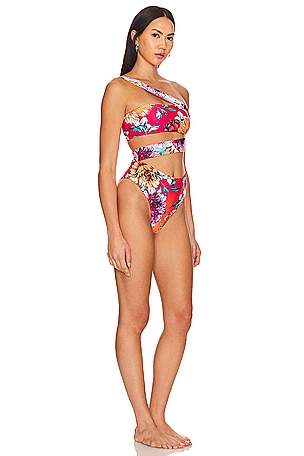 Agua Bendita X Revolve Irisha One Piece in Pink