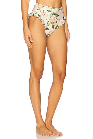 Agua by Agua Bendita Jengibre Bikini Bottom in Orquidea in Cream