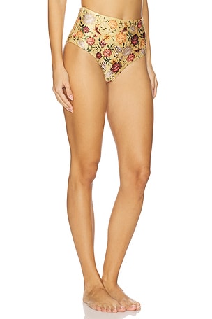 Agua by Agua Bendita Magenta Paramo Bikini Bottom in Multi