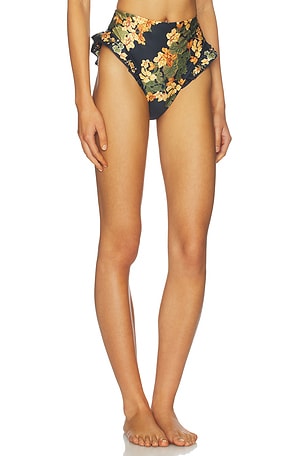 Agua by Agua Bendita Jengibre Cordillera Bikini Bottom in Black