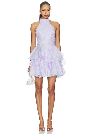 Fayette Mini Dress Aje