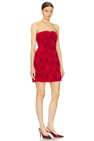 Aje Gazer Rosette Mini Dress in Red