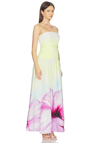 Aje Vacation Gown in Yellow,Pink