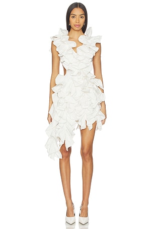 Olive Ruffle Dress AKNVAS