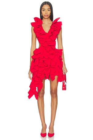 Olive Ruffle Dress AKNVAS