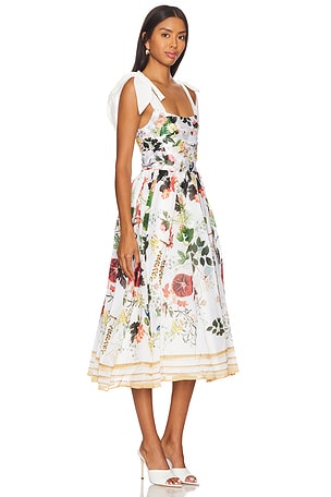 Alice + Olivia Haven Flared Midi Dress in Beige