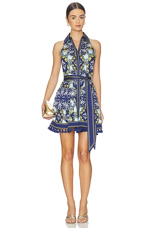 Lucy Halter Neck Mini Shirt Dress Alice + Olivia