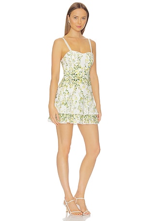 Alice + Olivia Meredith Sweetheart Drop Ruffle Flare Mini Dress in Yellow,Green