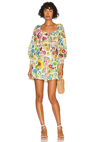 ALICE AND OLIVIA Crawford store Floral Eyelet Minidress