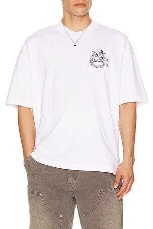 Allsaents camisa terra en color blanco