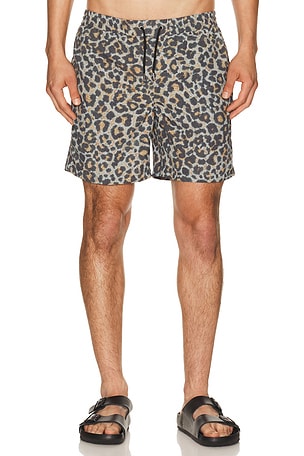 Silesia Swimshort ALLSAINTS