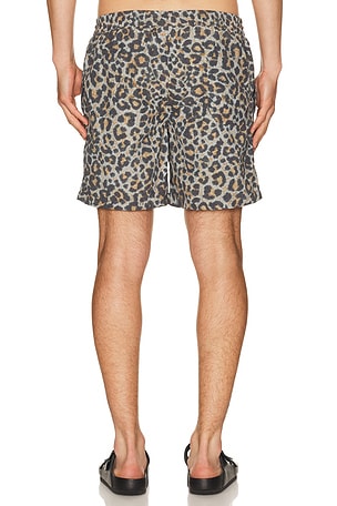 ALLSAINTS Silesia Swimshort in Grey