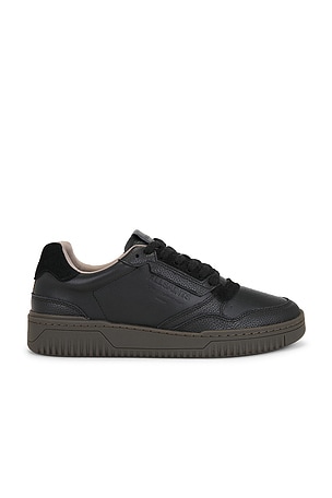 Regan Low Top ALLSAINTS