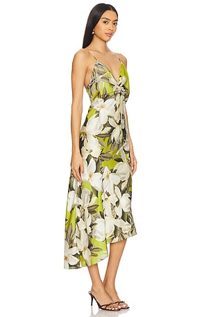 ALLSAINTS Alexia Dress in Green