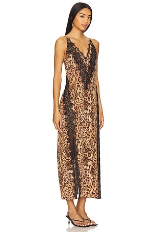 ALLSAINTS Melia Dress in Brown