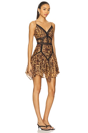 ALLSAINTS Zia Dress in Tan