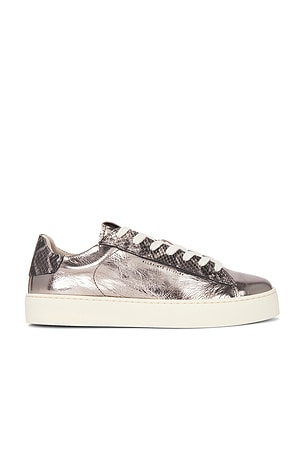 SNEAKERS SHANA ALLSAINTS