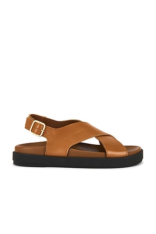 Nico Sandals ALOHAS