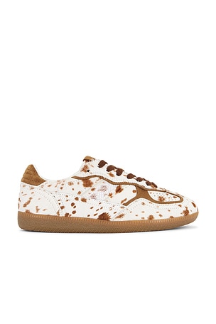 Tb.490 Rife Sneaker ALOHAS