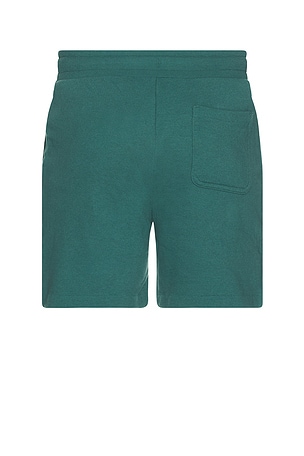 alo Chill Shorts in Green
