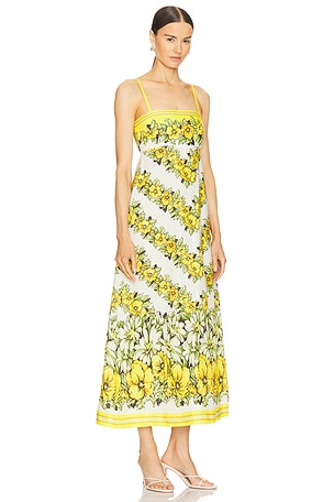 Alemais Gisela Sundress in Yellow