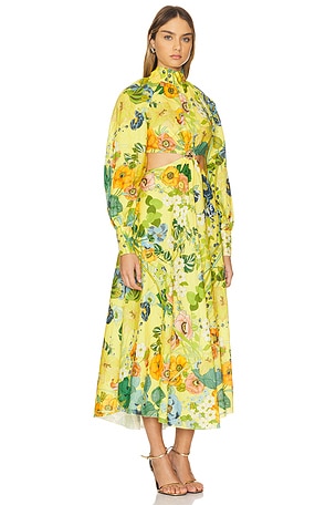 Alemais Zhivago Cresida Cutout Midi Dress in Yellow