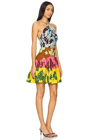Alemais Poppy Spliced Mini Dress in Rust, Mustard