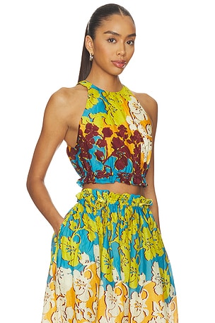 Alemais Splice Crop Top in Yellow,Burgundy