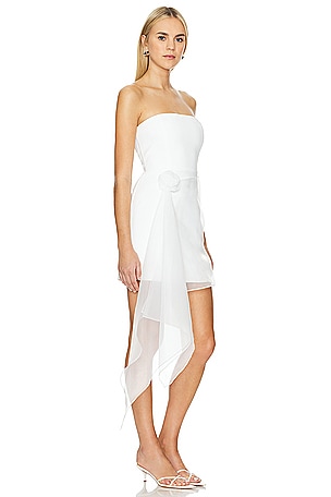 Amanda Uprichard Mandy Rose Dress in Ivory