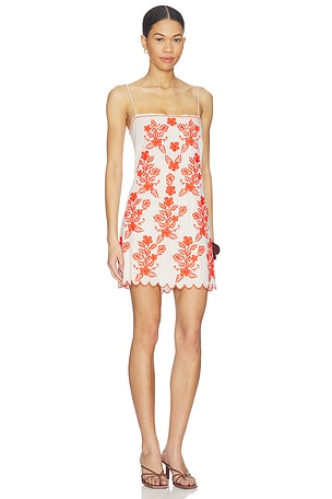 Amanda Uprichard Coraline Dress in Ivory,Burnt Orange