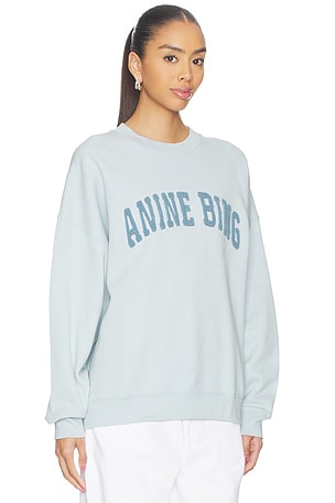 ANINE BING Miles Sweatshirt Anine Bing in Baby Blue