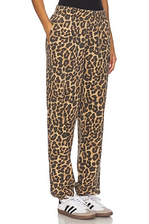 ANINE BING Karter Jogger in Brown