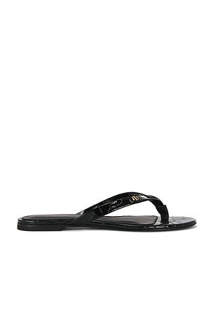 Noelle Thong Sandal ANINE BING
