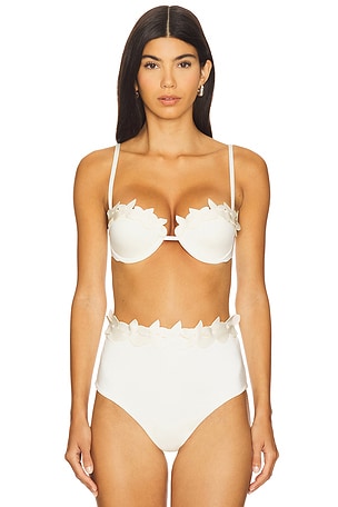 Sylva Bikini Top Ancora