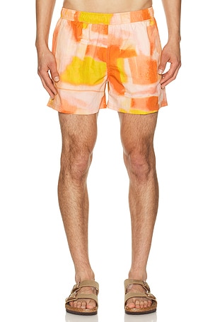 4" Printed Sebastian Swim Trunk AUTO-REPLY