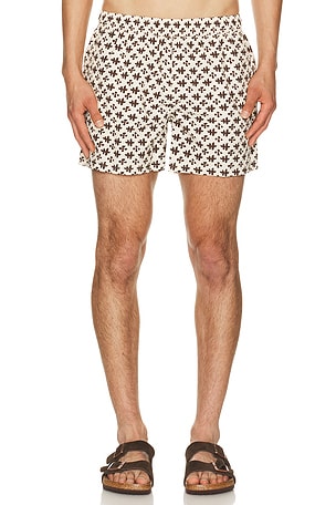 4" Printed Sebastian Swim Trunk AUTO-REPLY