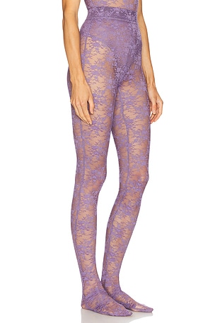 Alex Perry Lace Stocking in Purple