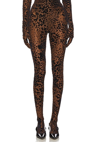 Leopard Burnout Mesh Stocking Alex Perry