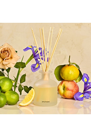 APOTHEKE Reed Diffuser in White