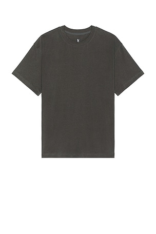 ASRV Supima Oversized Tee in Grey